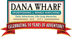 Legacy - Fishing Hat – Dana Sportfishing & Wharf Whale Watching